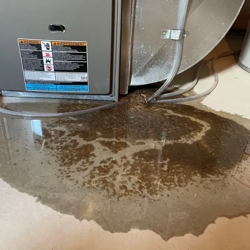 Appliance Leak Cleanup in Butler Beach, FL